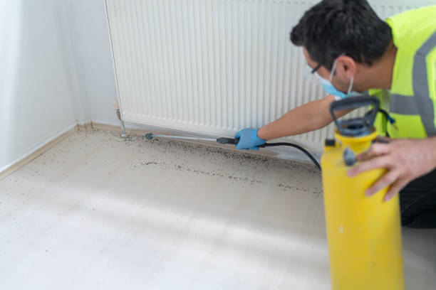 Reliable Elm Springs, AR Pest Control Solutions